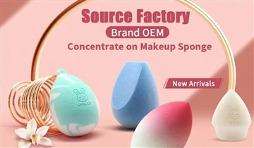 Always Focusing On Beauty Sponges Always Focusing On Beauty Sponges